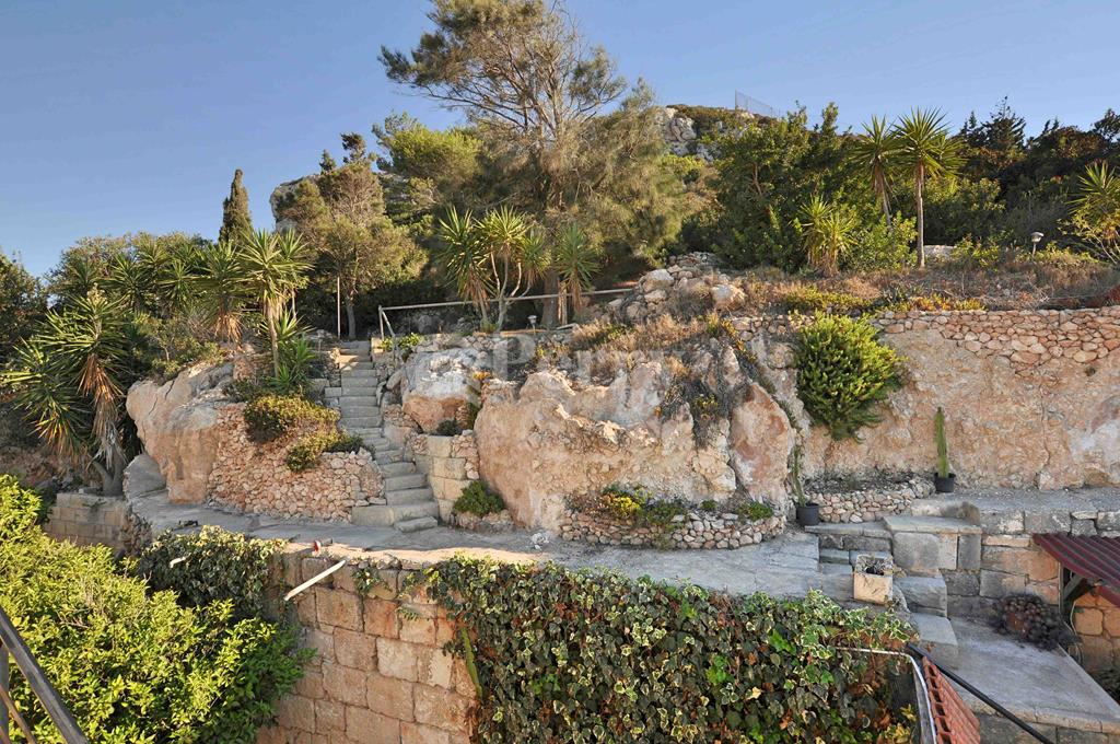 Image 11