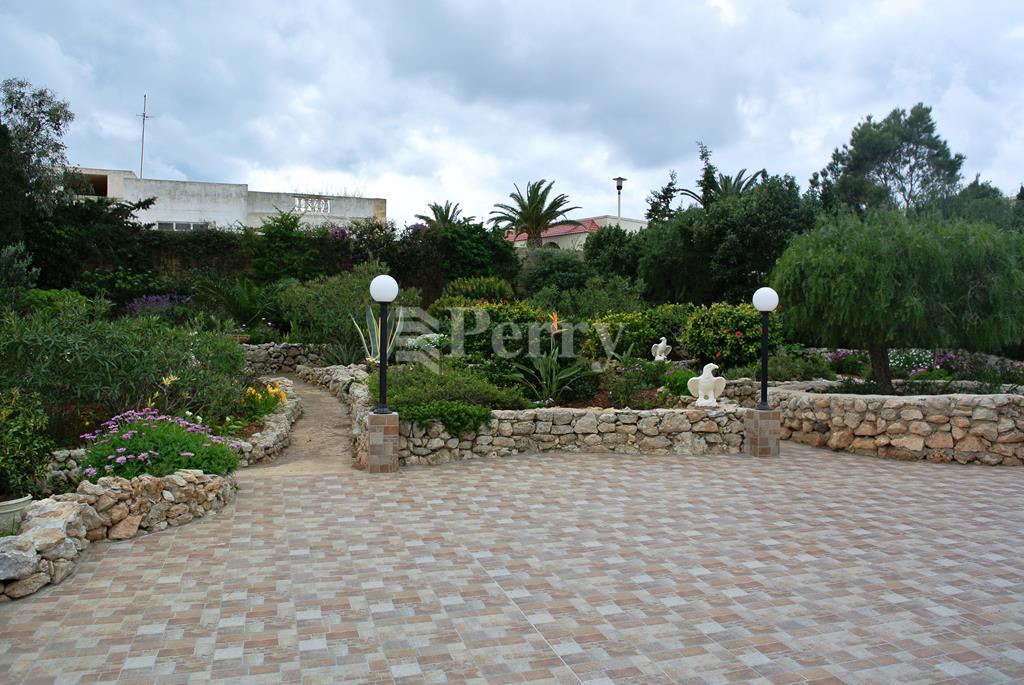 Image 21