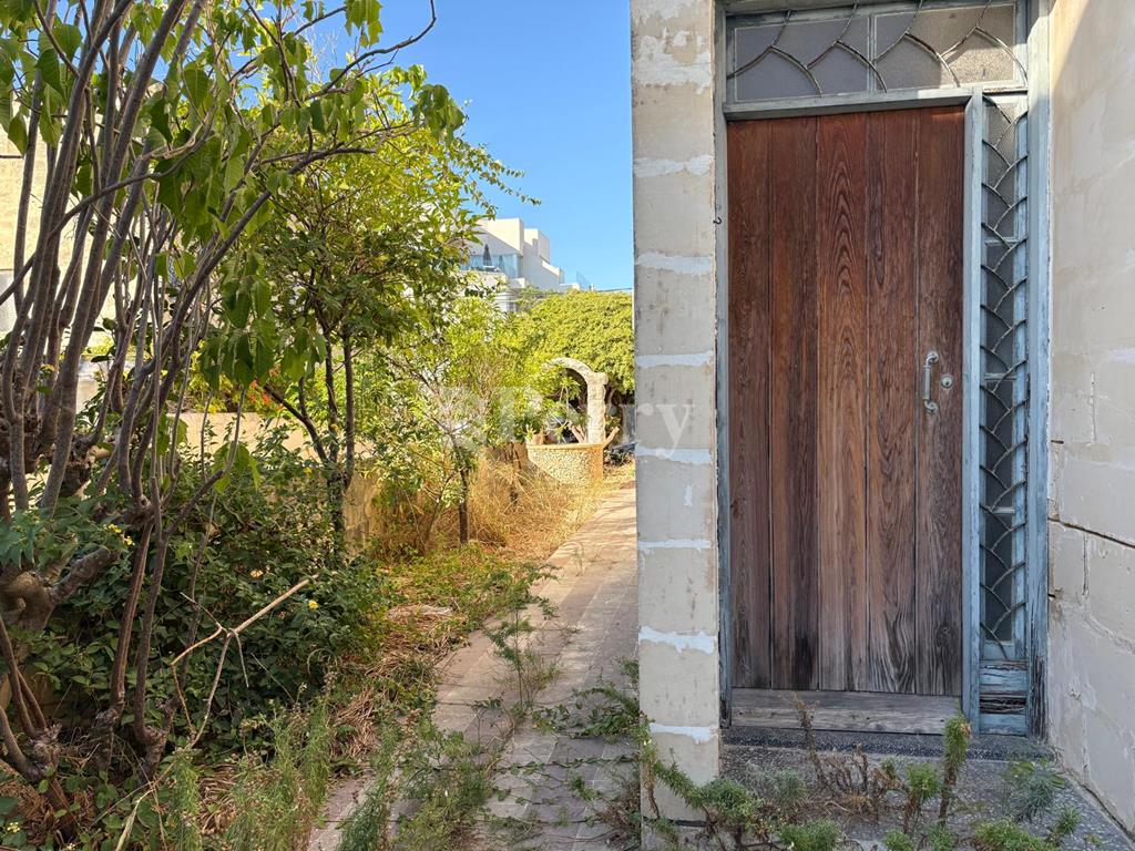 Image 13