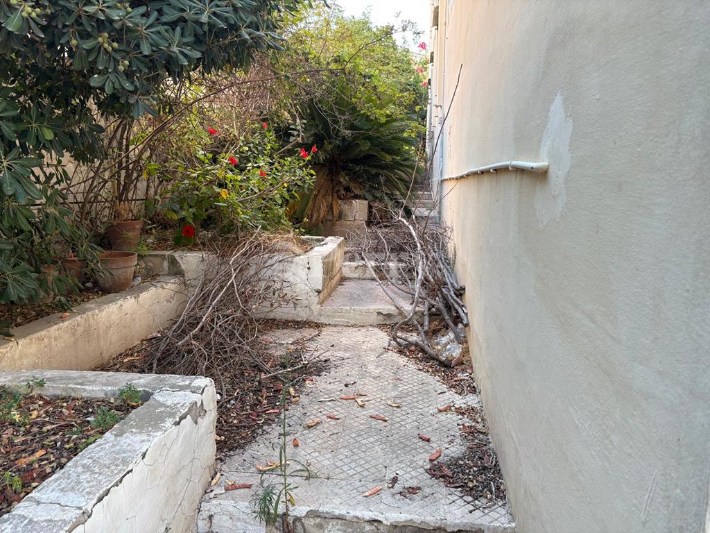 Image 15