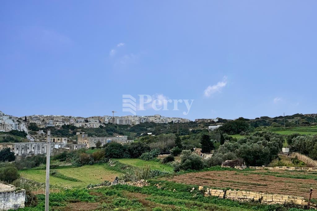 Image 10