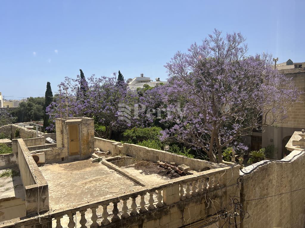 Image 12