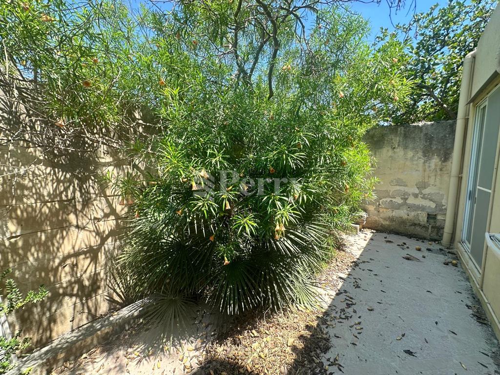 Image 14