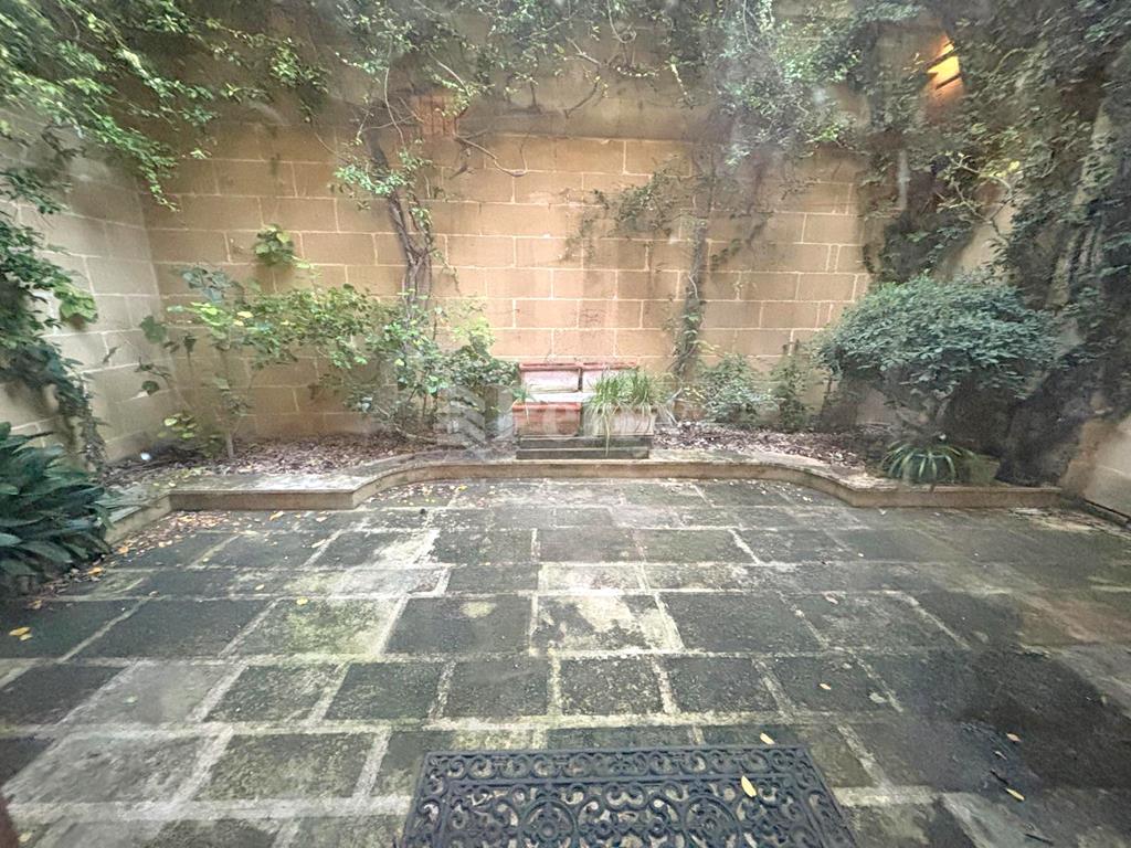 Image 19