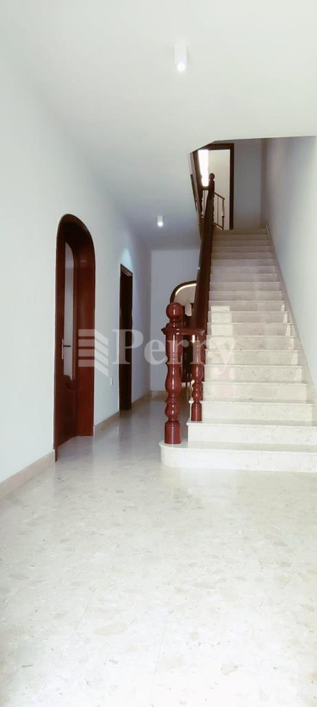 Image 13