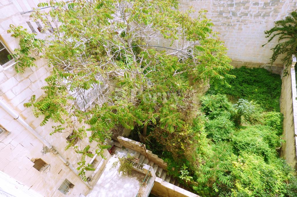 Image 14