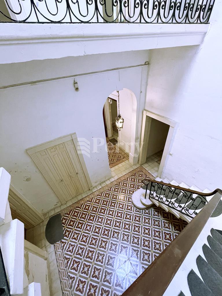 Image 13