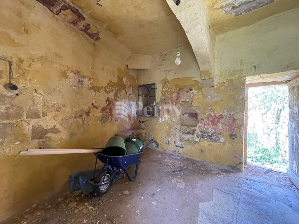 Image 9