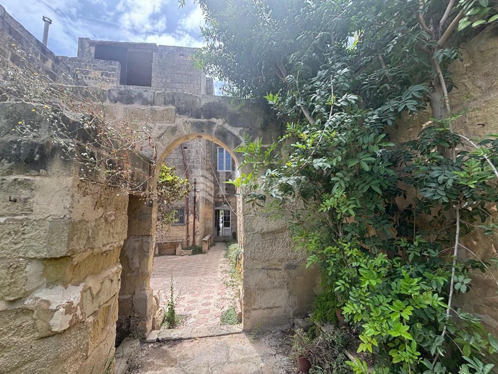 Image 20