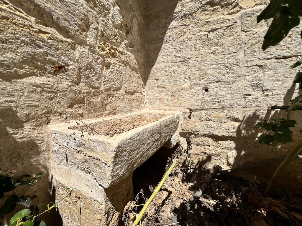Image 22