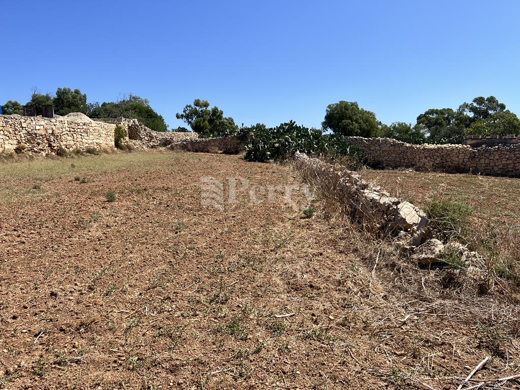 Image 8