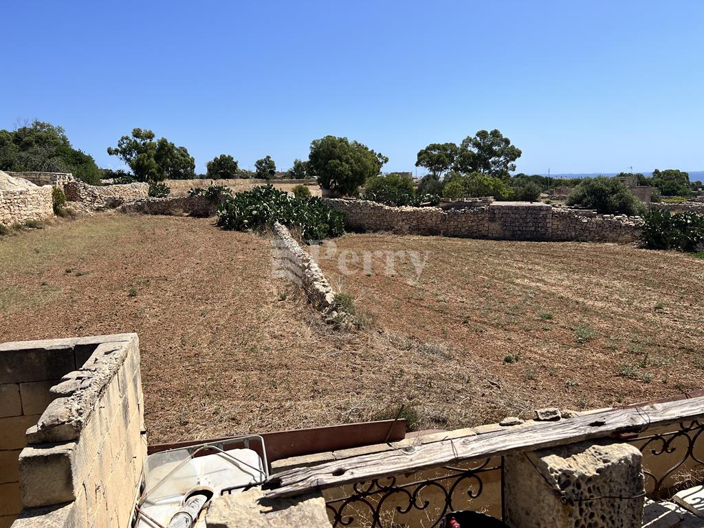 Image 11