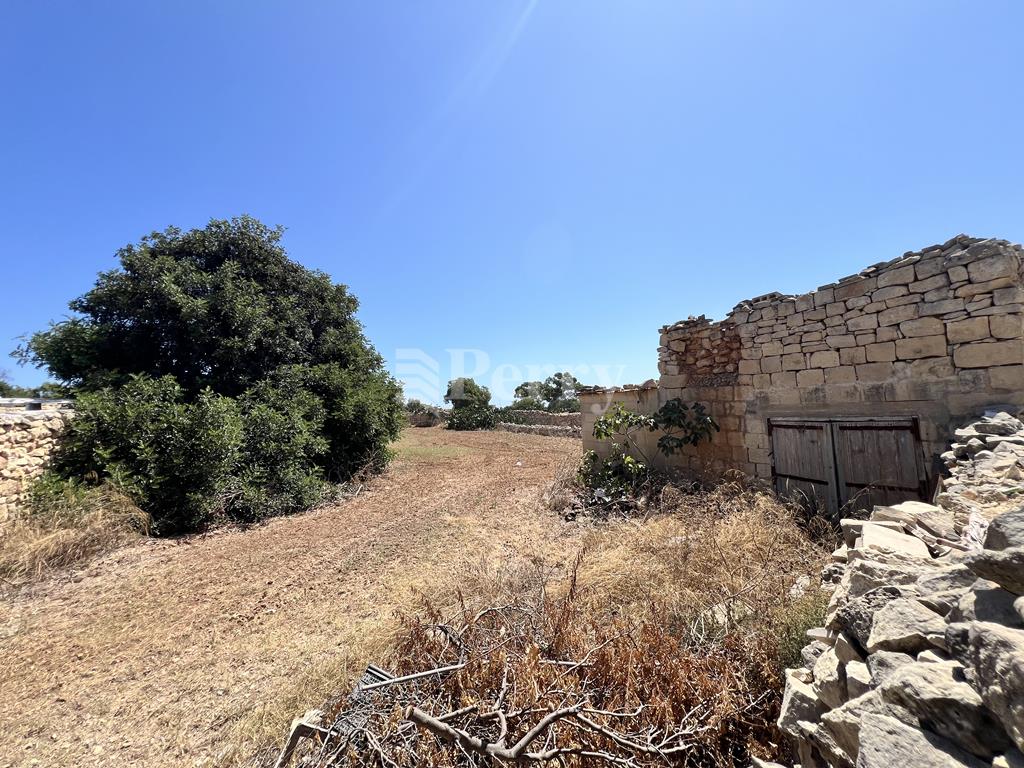 Image 12