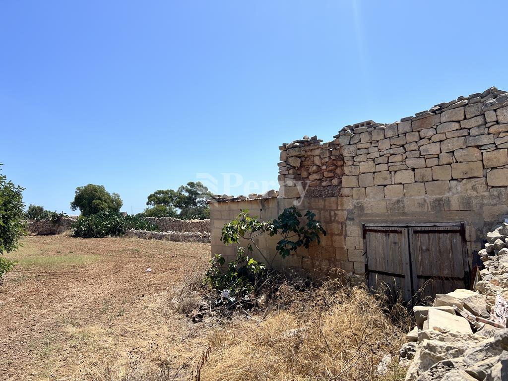 Image 13
