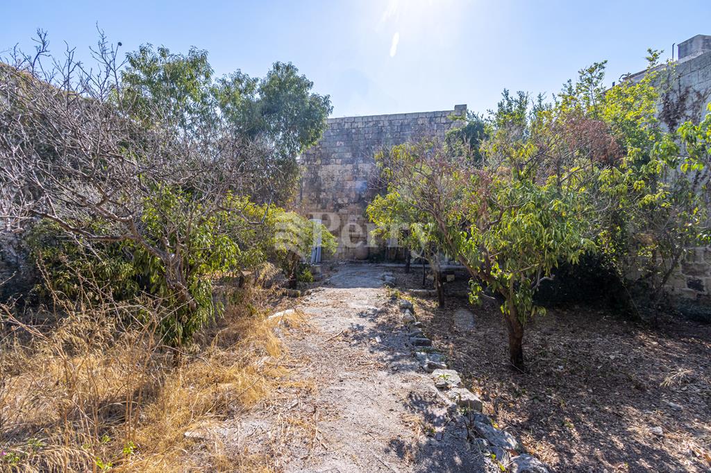Image 13