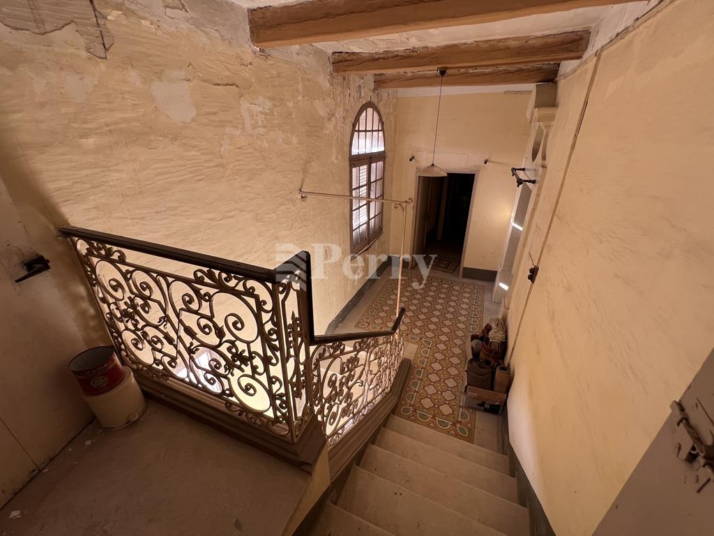 Image 19