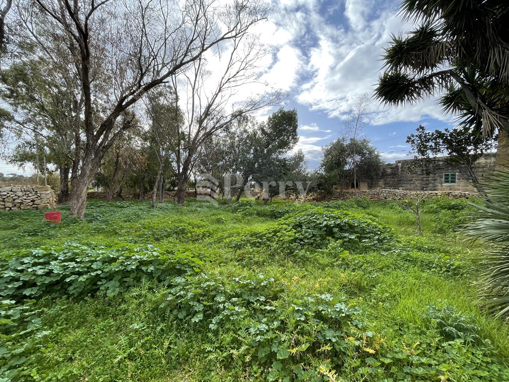 Zabbar Farmhouse - Image 1