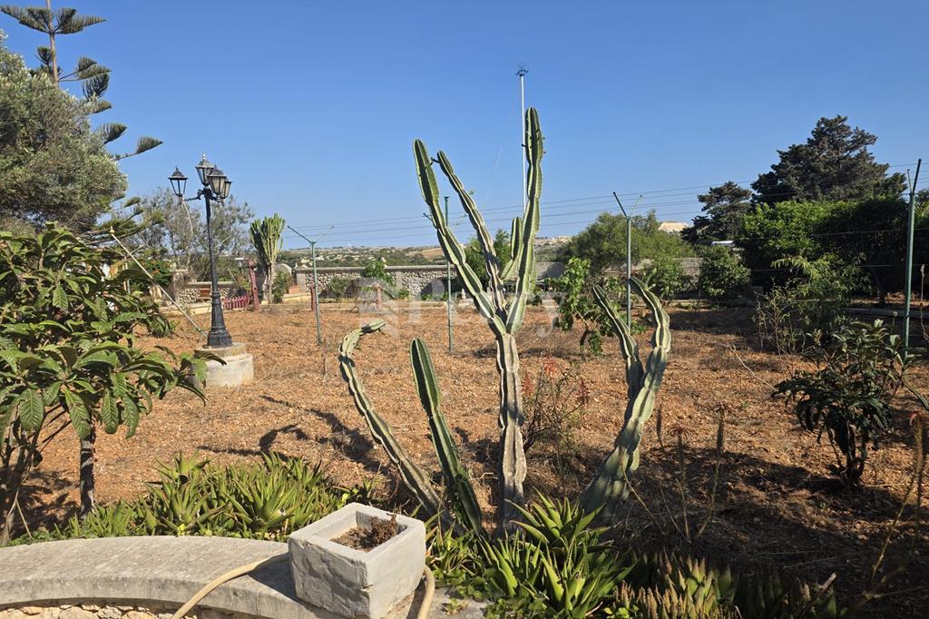 Dingli<br>House of Character