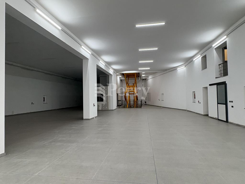 Image 12