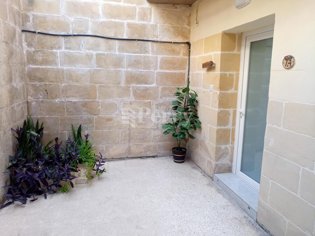 Image 12