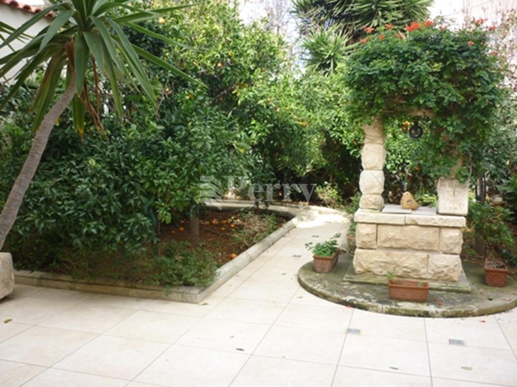 Image 13