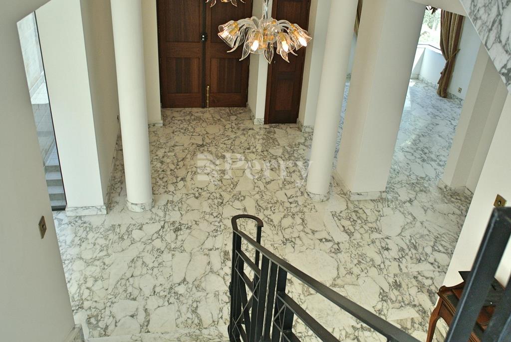 Image 19