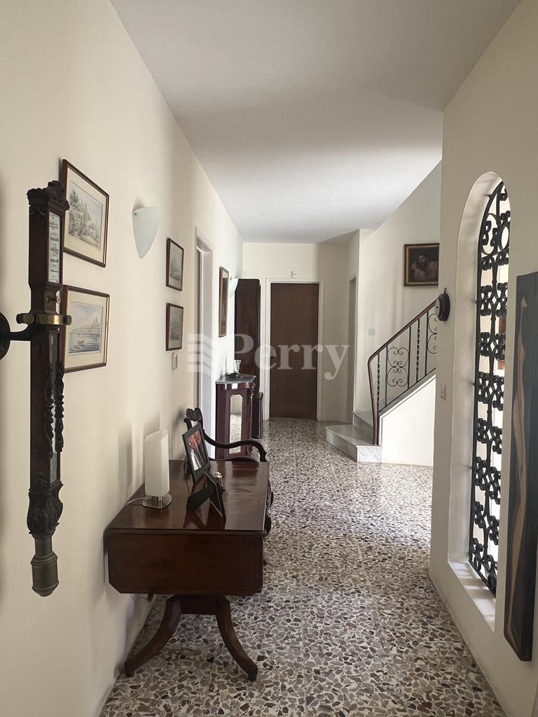 Image 15