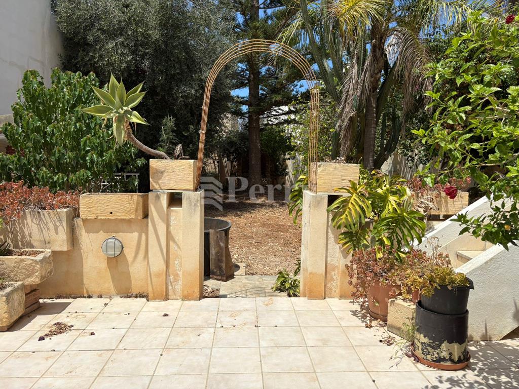 Image 13